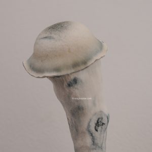 tam pearl gate magic mushrooms