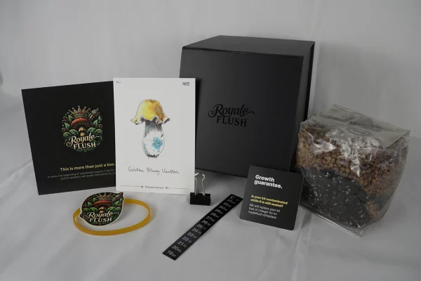 Iceberg - 1200cc - Royale Flush Growkit